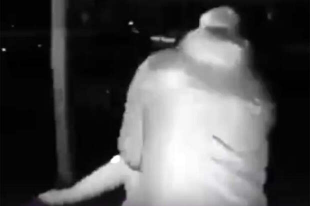 Житель Южно-Сахалинска ударил по голове 6-летнюю девочку из-за рисования мелками