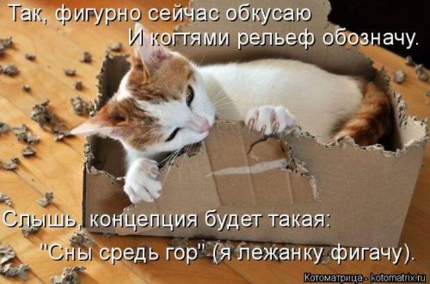 Лучшая котоматрица недели (38 фото)
