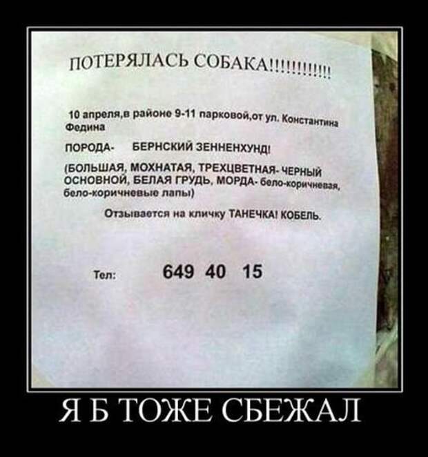 Демотиваторы-приколы (16 шт)