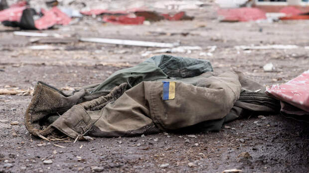 Потери ВСУ на запорожском направлении исчисляются взводами