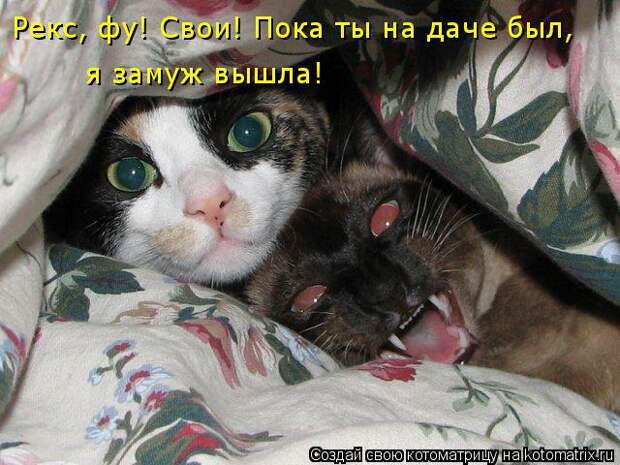 Котоматрица: Рекс, фу! Свои! Пока ты на даче был,  я замуж вышла!