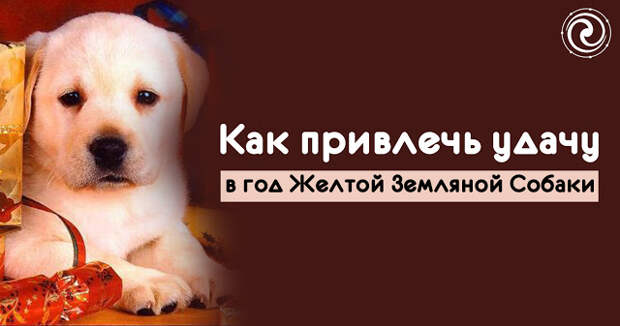 Как привлечь удачу в год Желтой Земляной Собаки