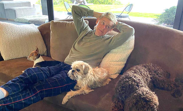 Как максимально бесполезно провести время дома: забавные идеи от Эллен Дедженерес