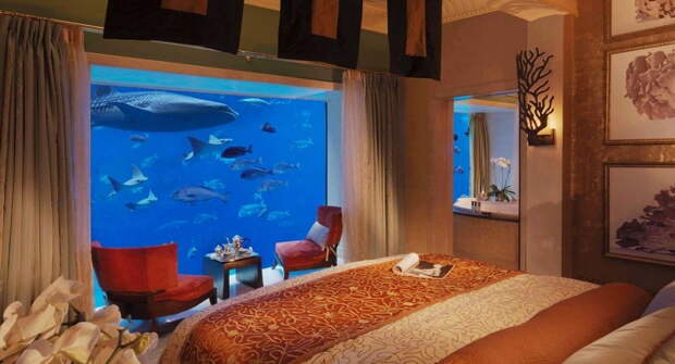 large-aquarium-design-in-bedroom
