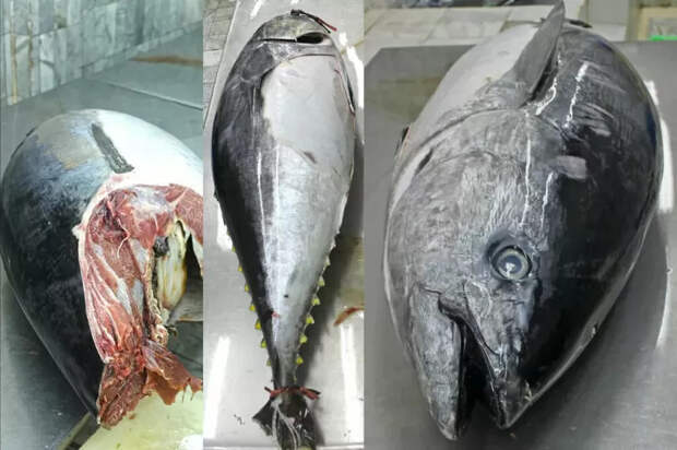 Как разводят покупателей в американских супермаркетах