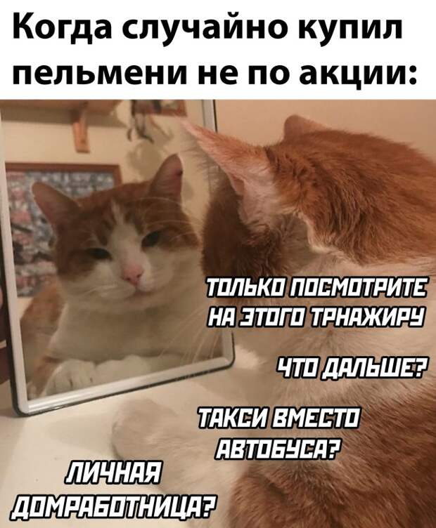 Смешные картинки 16 декабря 2021 года