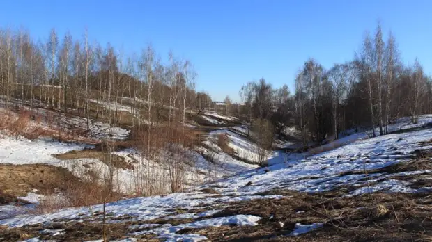 Старинные курганы в парке «Митино» привели в порядок после зимы