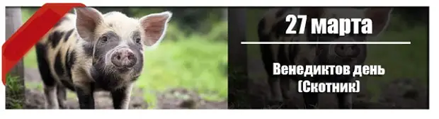 27 марта: Венедиктов день (Скотник).