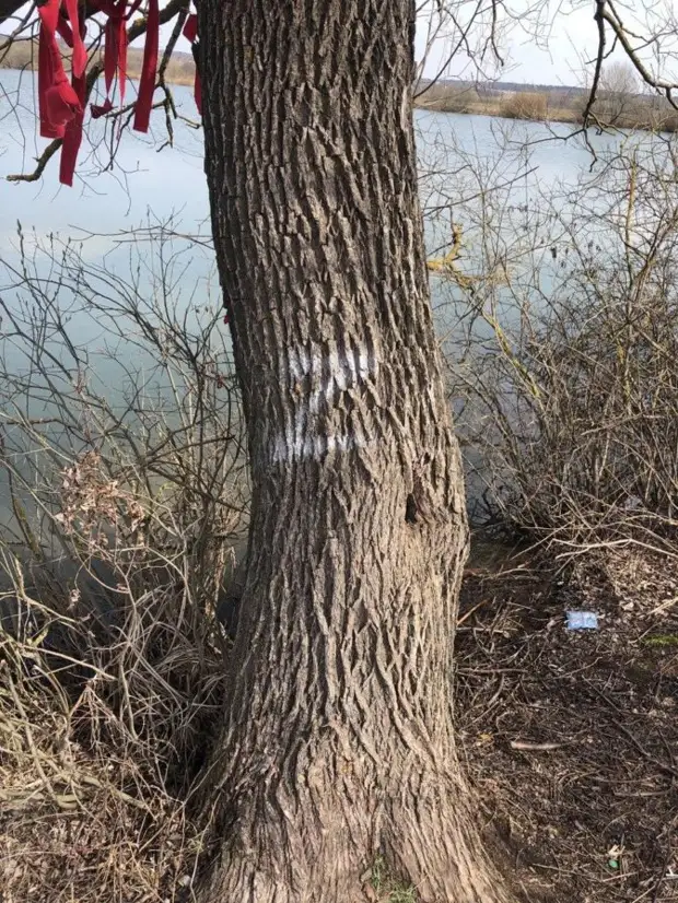 Возле подмосковного замка Галкина неизвестные написали символ Z