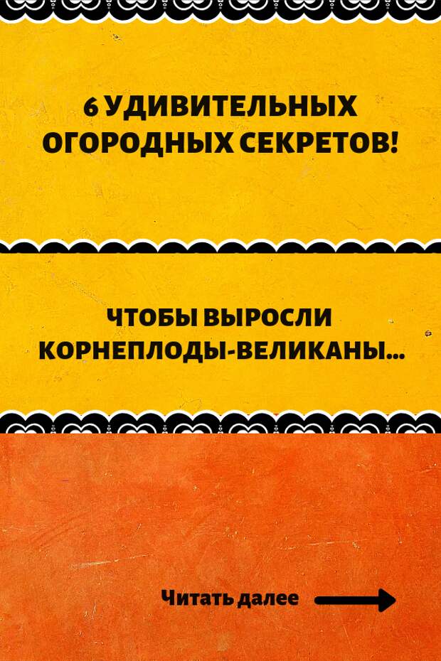 Дача и огород своими руками: Чтобы выросли корнеплоды-великаныЖелезным ломиком сделать в земле дырочки глубиной 30 - 40 см.