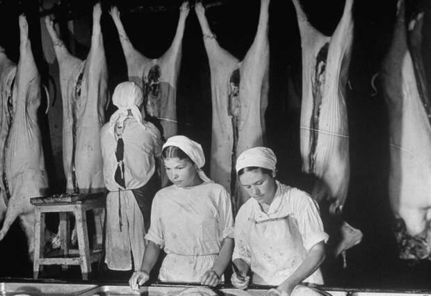 Работницы Микояновского мясокомбината на разделке мяса. СССР, Москва, август 1941 года. 