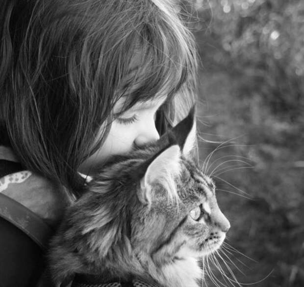 Задушевная дружба 5-летней девочки, страдающей аутизмом, и её терапевтической кошки (23 фото)