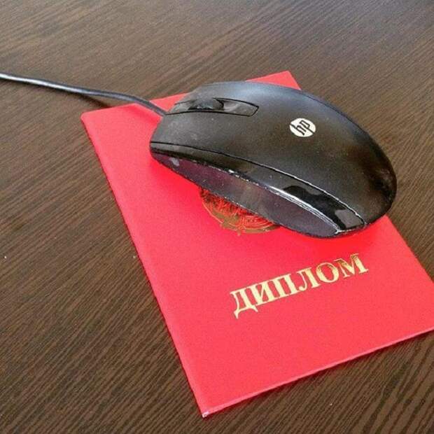Диплом - это отличный коврик для мыши! вуз, диплом, полезное, фото