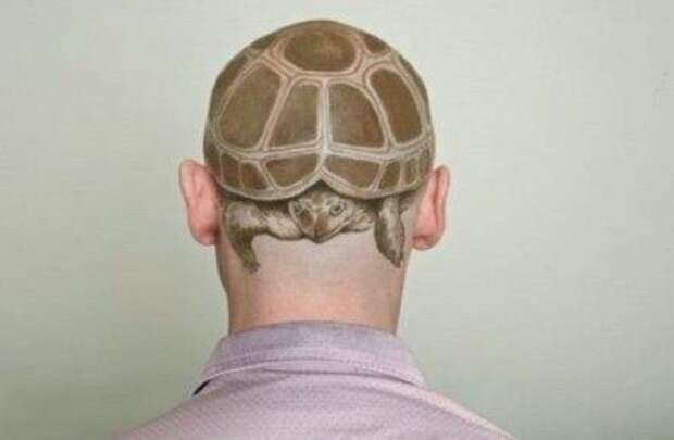 Рисунок черепахи, которая полностью закрывают голову хозяина, наподобие шаочки