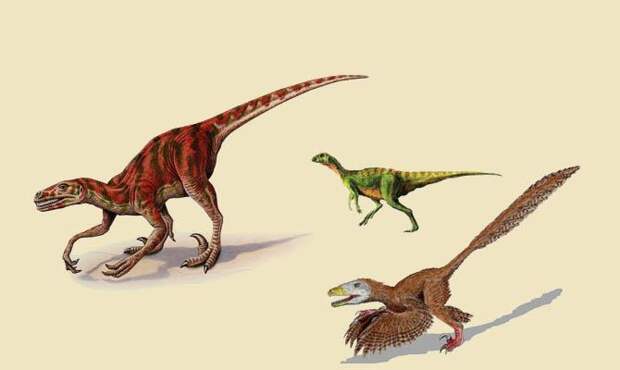 Интересные факты о динозаврах, копсогнатус, фаброзавр