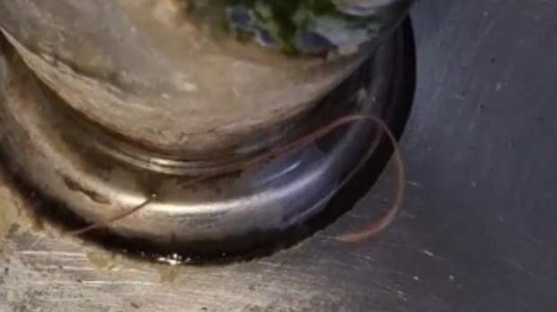 Роспотребнадзор взял на контроль ситуацию с червем в школьном фонтанчике Барнаула