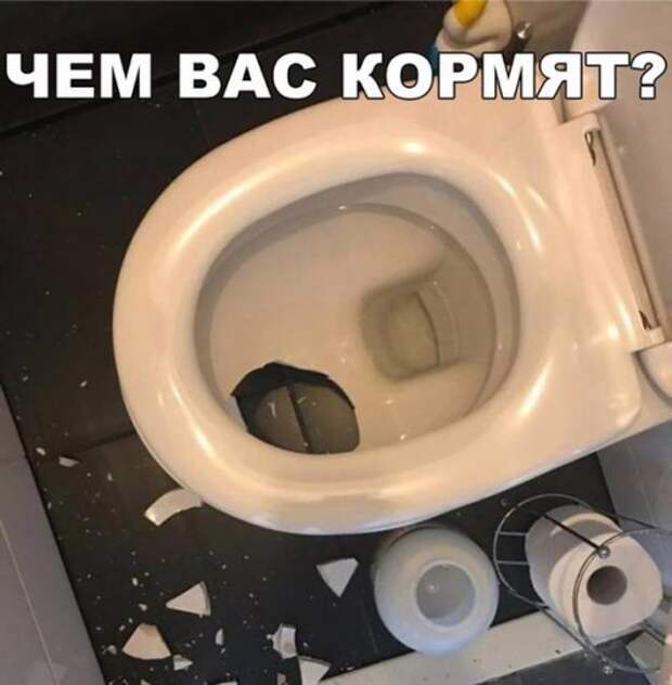 Прикольные фотомемы (26 шт)