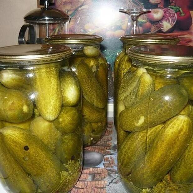 Огурцы из под крана