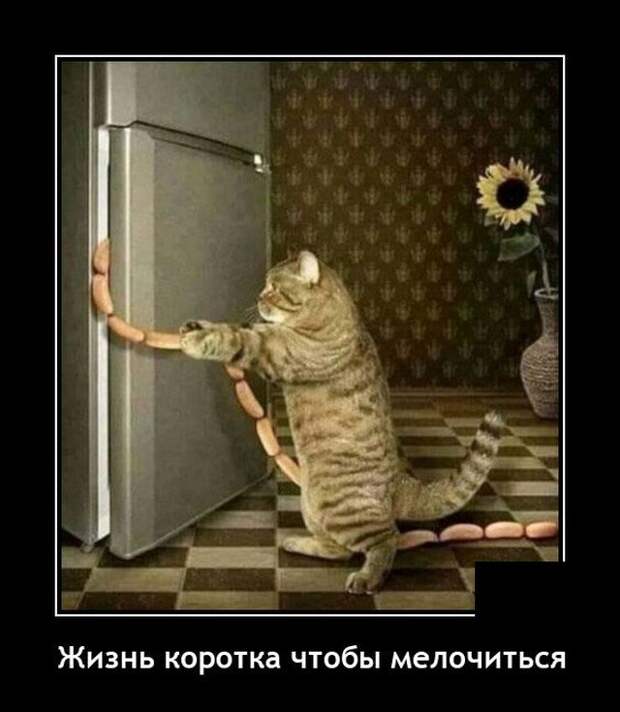 Демотиваторы Демотиваторы