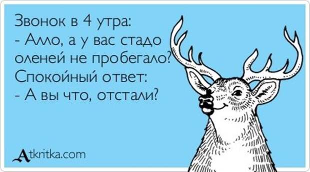 5672049_1370693348_atkrytki3 (640x357, 49Kb)