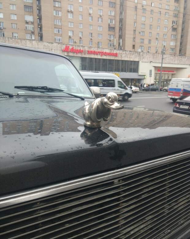 Фотоподборка