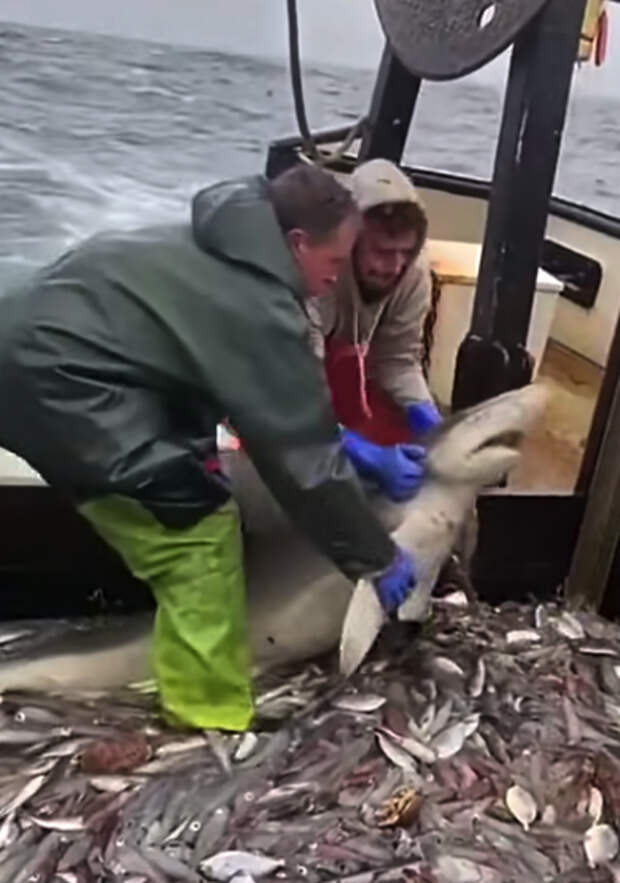 Источник фото: 9Gag