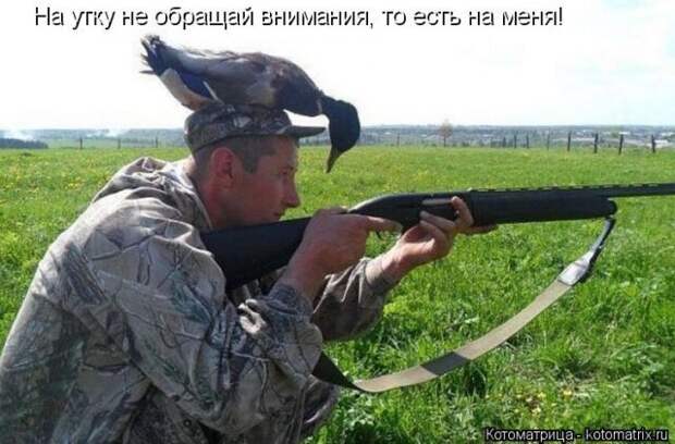 Забавные животные (50 фото)