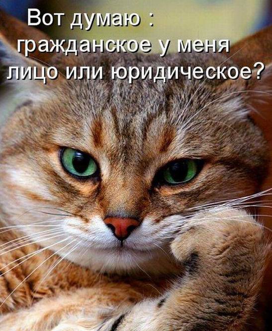 Мысли вслух :)