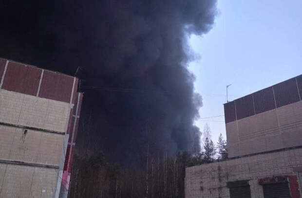 Украинские БПЛА атакуют экспортные узлы России в Балтийском море