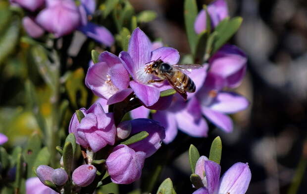 В лесу была весна