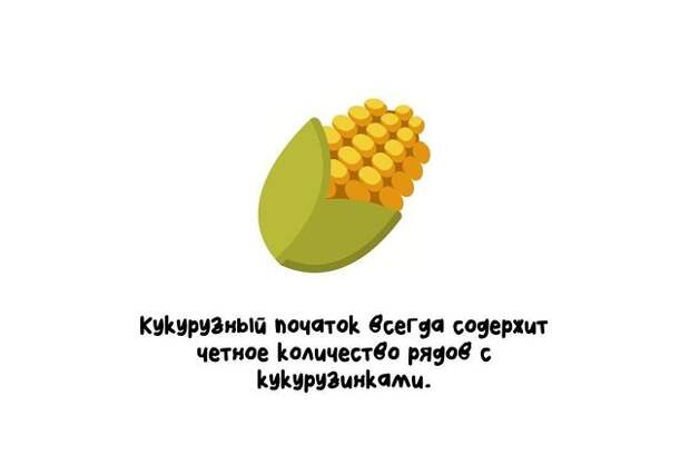 Короткие и интересные факты на все случаи жизни
