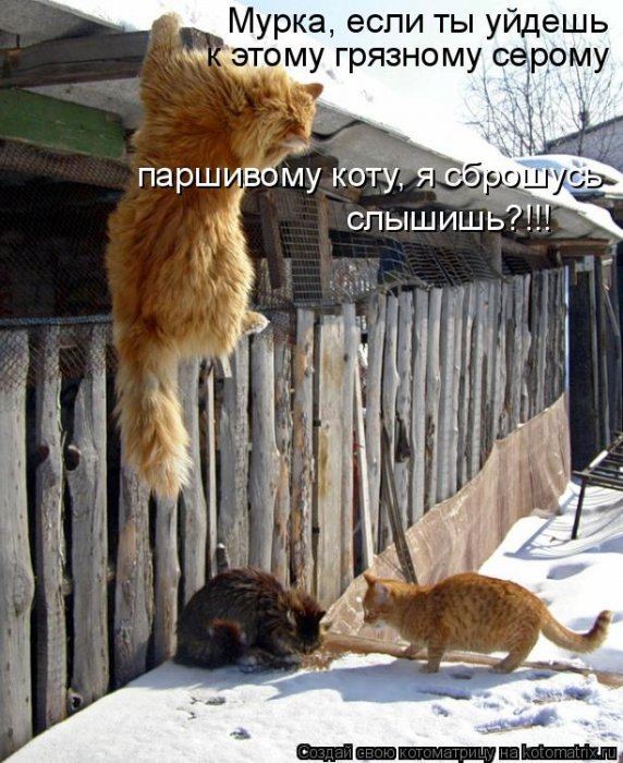 Мысли вслух :)