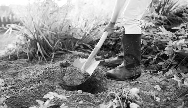 В Holcim Россия предложили эффективнее использовать ископаемые