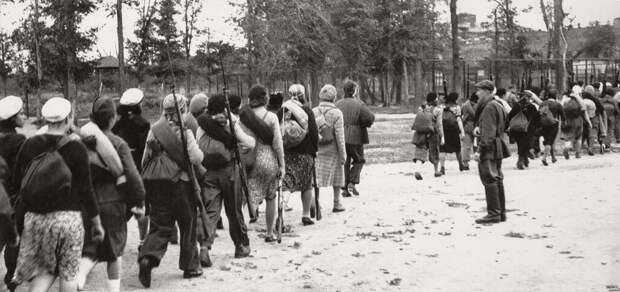 Ополченцы. На защиту столицы. Иван Шагин, октябрь 1941 года, г. Москва, МАММ/МДФ.