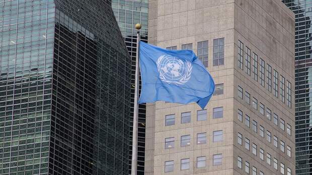 Постпред РФ поддержал идею Индии вступить в Совбез ООН