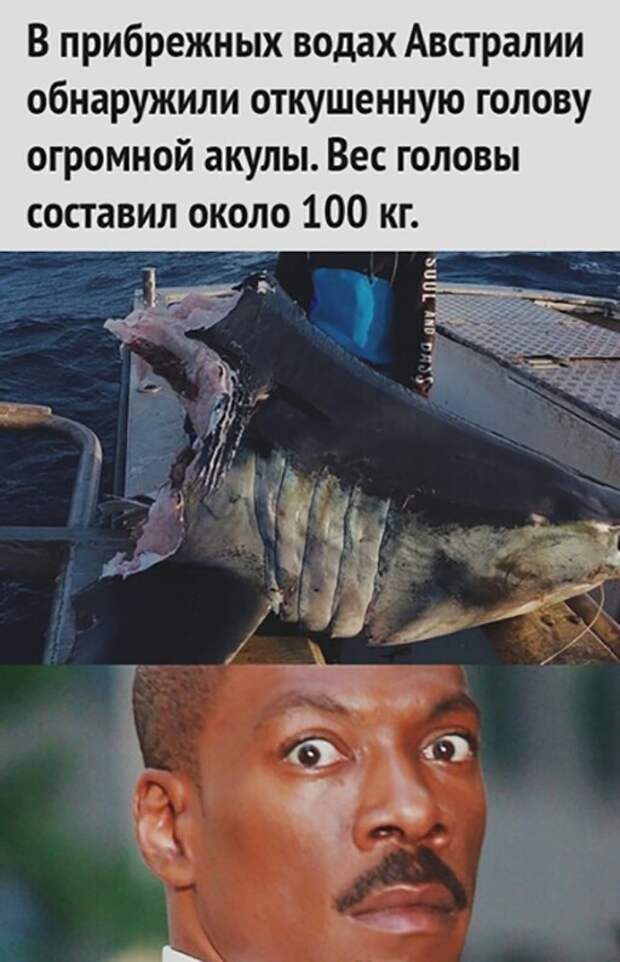 Кто ее смог откусить? Кто ее смог откусить?