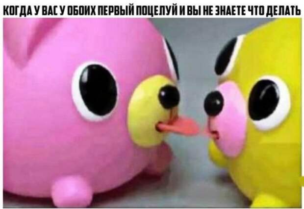 Прикольные фотомемы для хорошего настроения (22 шт)