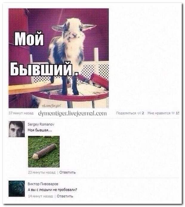 Комментарии из соцсетей