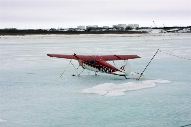 IMG_6593Large IMG_6593Large