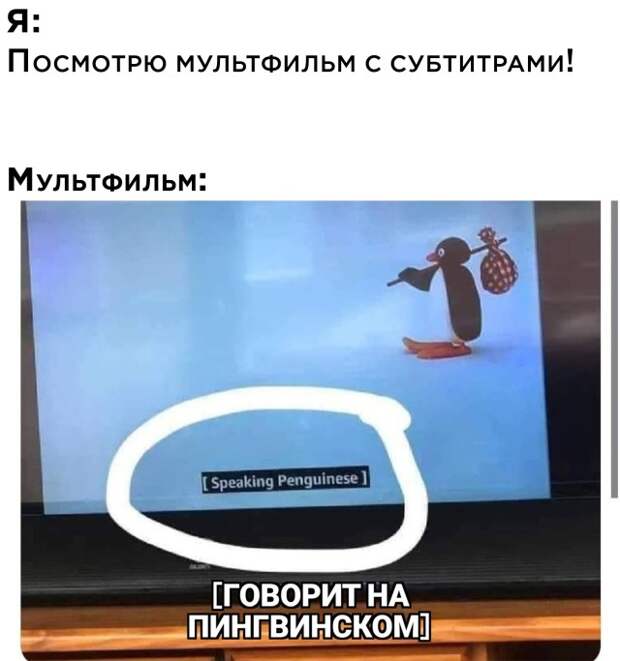 Смешные картинки 2 ноября 2021 года
