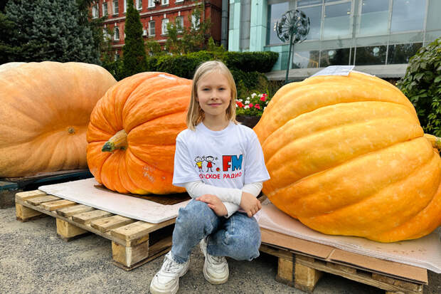 В «Аптекарском огороде» можно посмотреть на овощи-гиганты