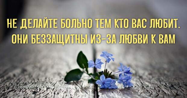 25 невероятно красивых и мудрых цитат