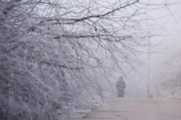 Крым готовится к удару стихии: после +14°C — мокрый снег, штормовой ветер и гололедица
