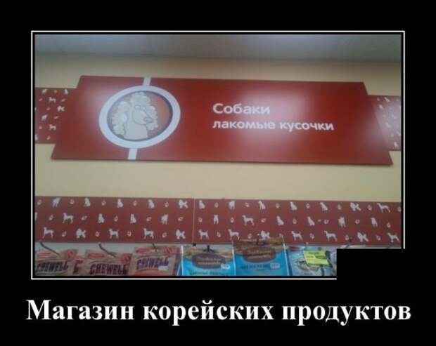 Демотиватор про Корею