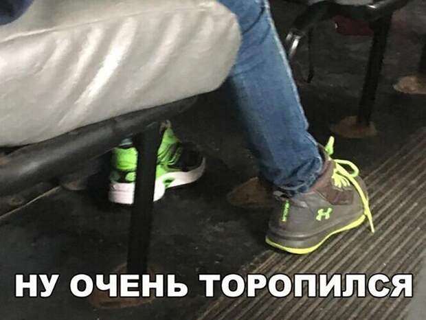 Смешные и познавательные картинки
