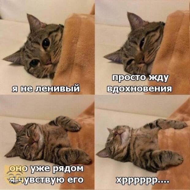 насобиралок пост