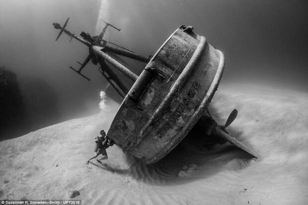 Спасательное судно USS Kittiwake, затопленное у Каймановых островов, Сюзанна Сноуден-Смит конкурс, красиво, лучшее, подборка, подводные снимки, подводные фото, фото, фотографы