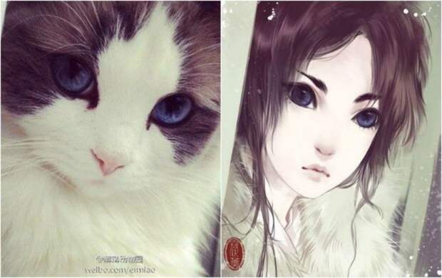 художник рисует кошки в персонажи аниме, художник превращает кошек в персонажей аниме