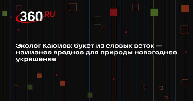 Эколог Каюмов: букет из еловых веток — наименее вредное для природы новогоднее украшение