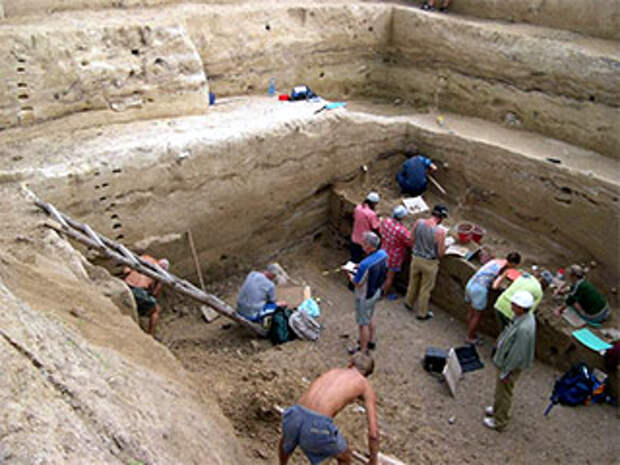 Прекрасно сохранившийся скелет обнаружен в 1954 году под Воронежем в захоронении Маркина гора (Костенки ХIV)